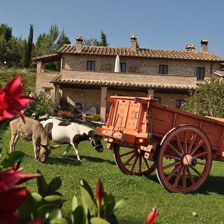 Farm Stay Il Carro Del Colle Колваленца Екстер'єр фото