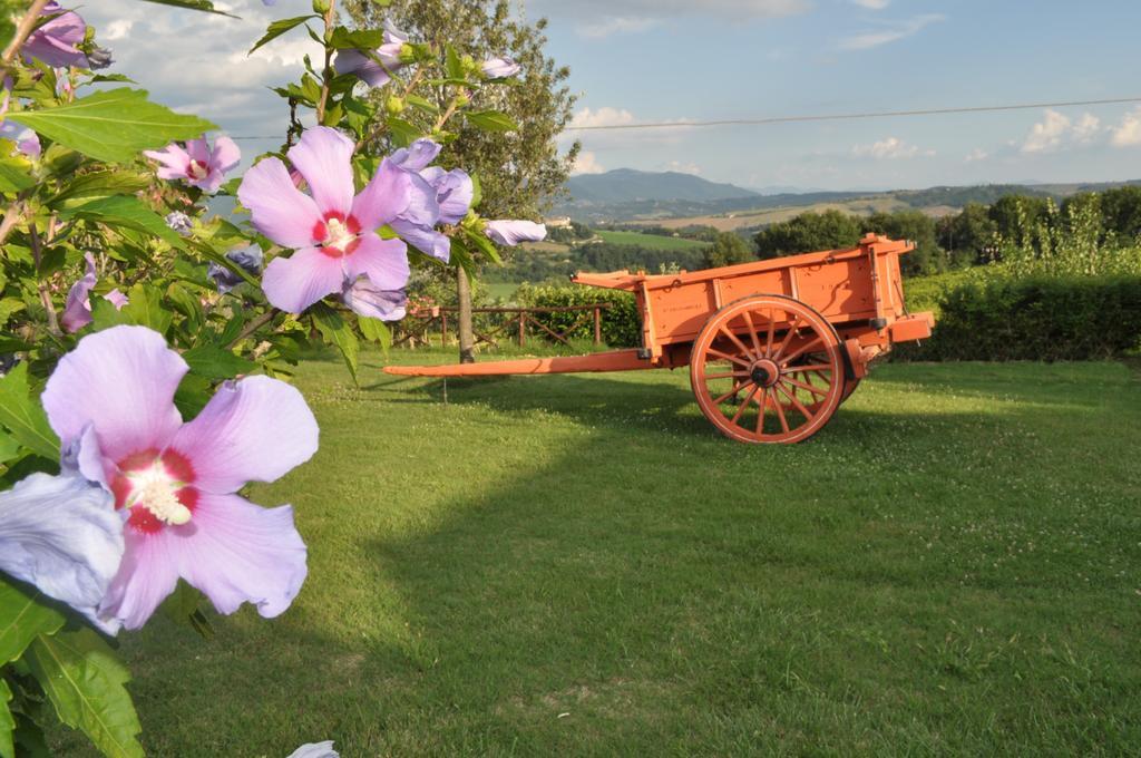 Farm Stay Il Carro Del Colle Колваленца Екстер'єр фото